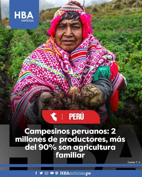 Papa Andina Fresca - Directo de Nuestros Campesinos Peruanos - Imagen 1