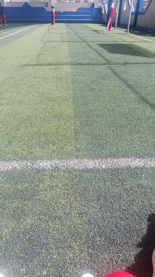 Pasto Sintético Premium 2m Ancho - Ideal para Canchas y Jardines - Imagen 1